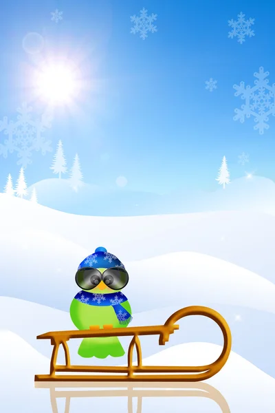 Bird on sled — Stock Photo, Image