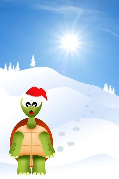 Turtle met Kerstmis — Stockfoto