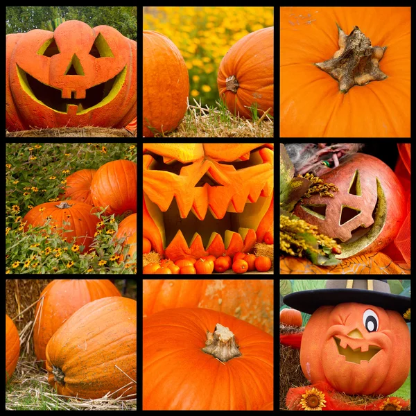 Halloween pompoenen — Stockfoto