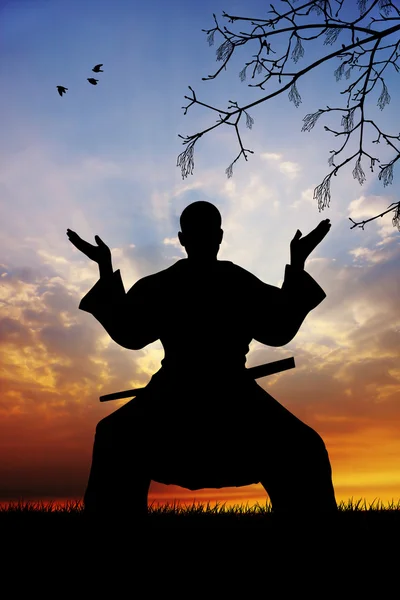Samuray ninja — Stok fotoğraf