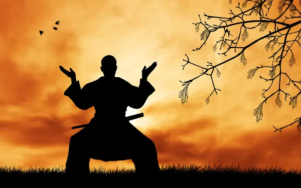 Samurai ninja — Stockfoto