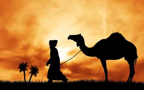 Camel in the desert — Stock Photo, Image