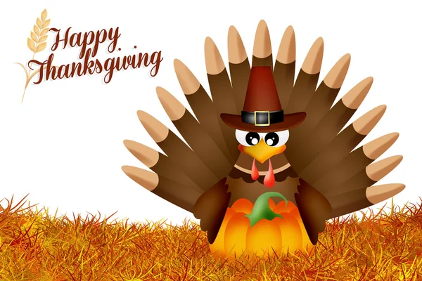 Turcja na Święto Dziękczynienia — Zdjęcie stockowe