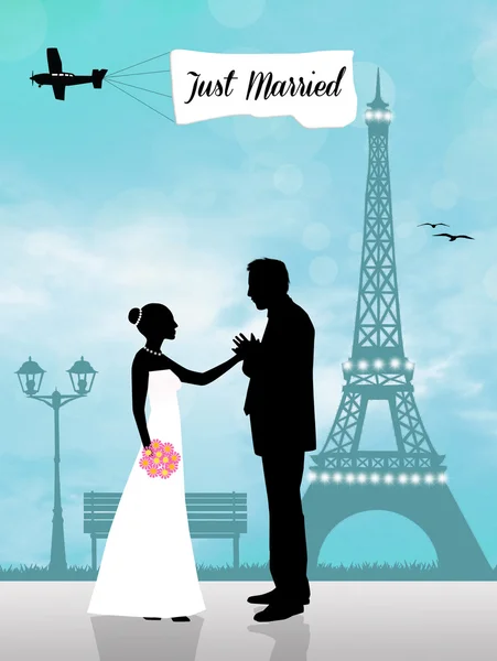 Γάμος στο Παρίσι — Φωτογραφία Αρχείου