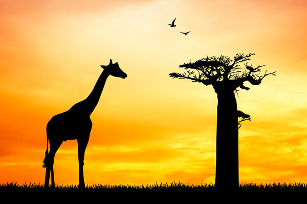 Illustration of giraffe at sunset
