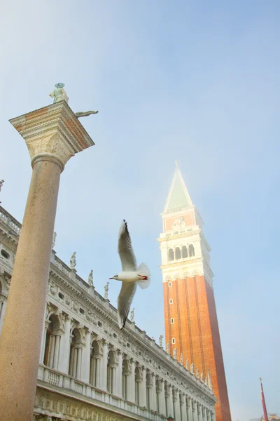 San marco, Venetië — Stockfoto