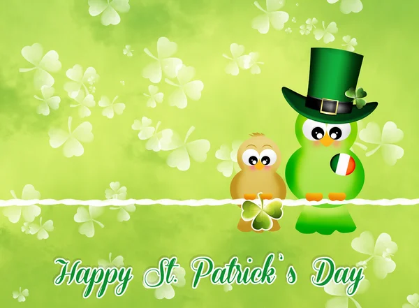 Burung merayakan Hari St. Patrick — Stok Foto