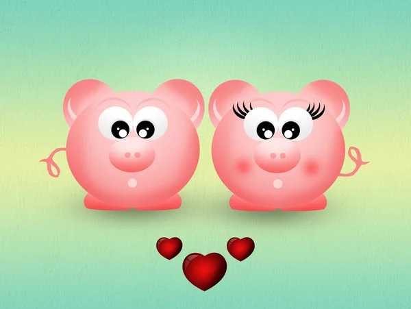 Schweine-Paar — Stockfoto