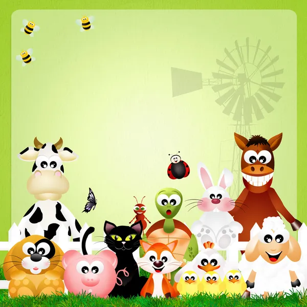 Animali da fattoria — Foto Stock