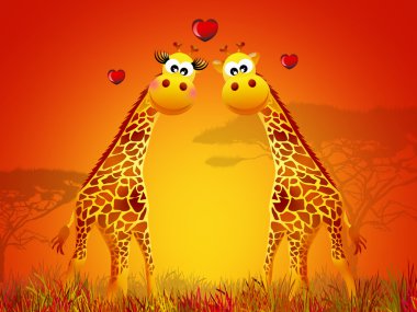 Giraffe seviyorum