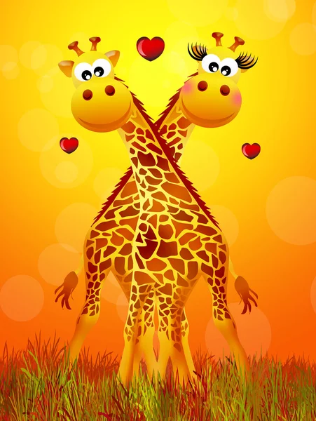 Giraffe in love — Stock Photo, Image