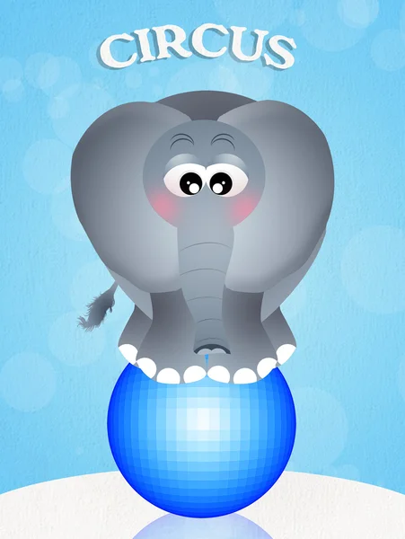 Elefant am Ball — Stockfoto