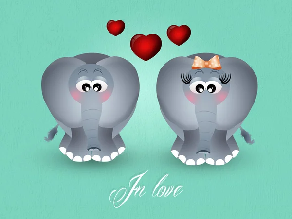 Sloni v lásce — Stock fotografie