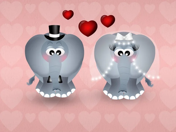 Wedding of elephants — Stock Photo, Image