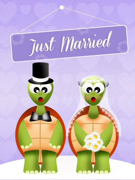 Mariage des tortues — Photo