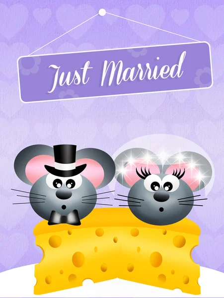 Wedding of mice — Stock Photo, Image