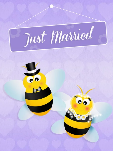 Wedding of bees — Stock Photo, Image