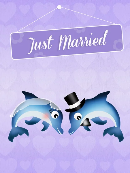 Wedding of dolphins — Stock Photo, Image