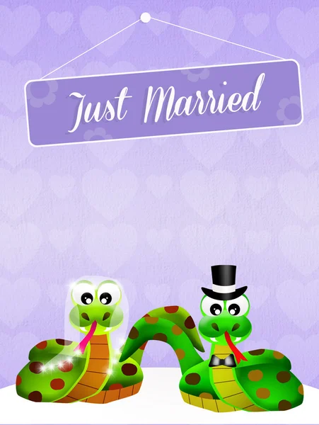 Mariage des serpents — Photo