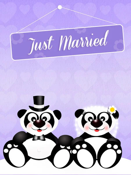 panda düğün