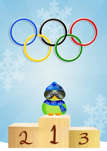 Juegos Olímpicos de invierno —  Fotos de Stock