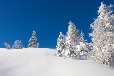 Dolomites in winter