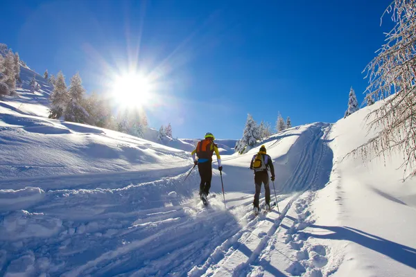 Skilanglauf — Stockfoto