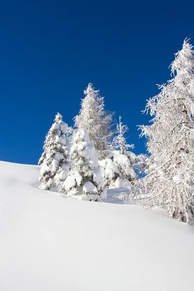 Dolomiterna i vinter — Stockfoto