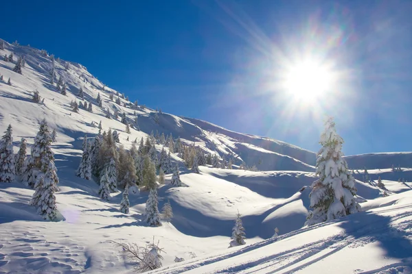 Esquí Paganella — Foto de Stock