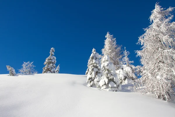 Dolomitas en invierno Imágenes de stock libres de derechos