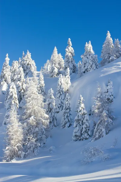 Winterlandschap Stockafbeelding