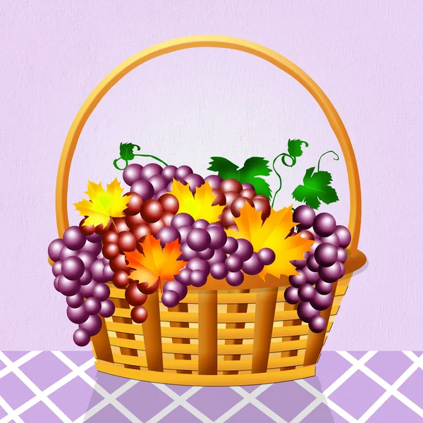 在篮子里的葡萄 — 图库照片