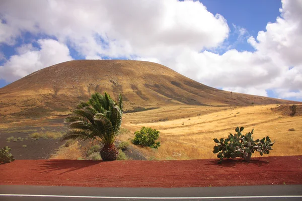 Volcanic landscape, Lanzarote — Stock Photo, Image