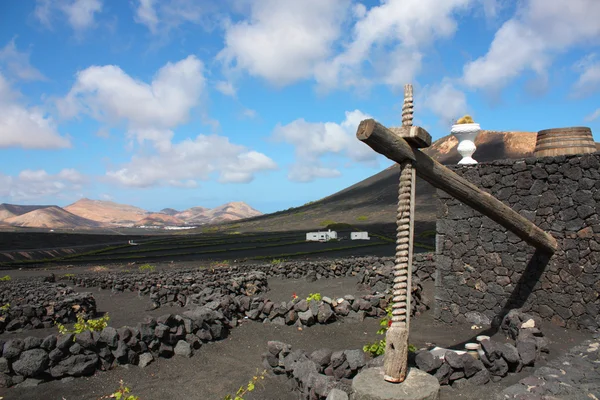 Lanzarote —  Fotos de Stock