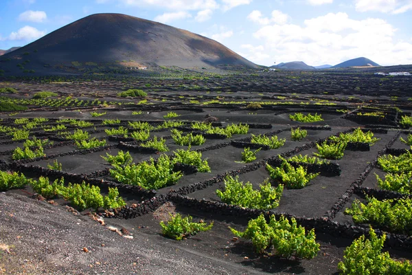 Lanzarote — Foto Stock