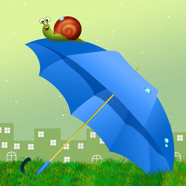 Snail on umbrella — Stock Photo, Image