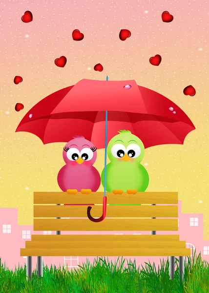 Ptáci s deštníkem — Stock fotografie