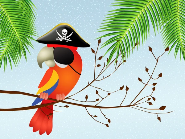 Pirate parrot — Stock Photo, Image