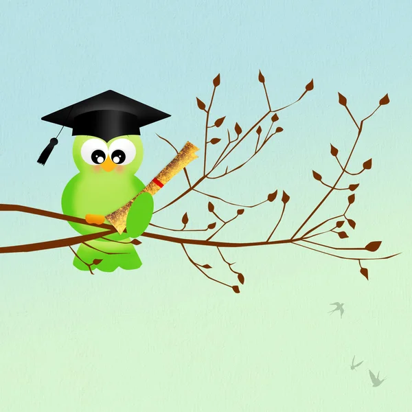 Bird graduate — Stock Photo, Image