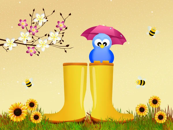 Bird on rain boots — Stock Photo, Image