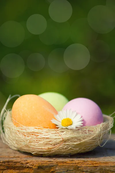 Easter eggs — Stock Photo, Image