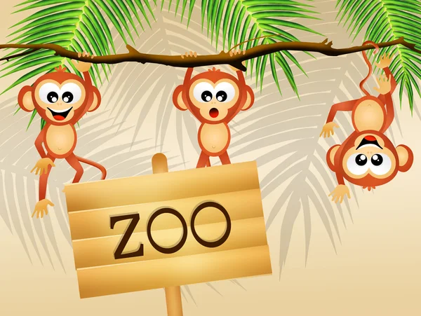 Monkeys in the zoo — Stock Photo, Image