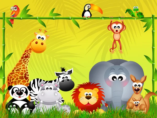 Wild animals in the jungle — Stock Photo, Image