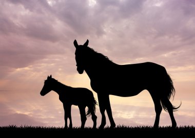 Horses and little horses clipart