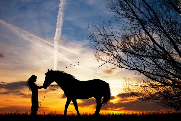 Woman and horse — Stock Photo, Image