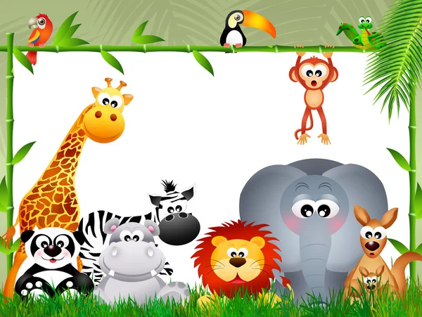 Džungle zvířata — Stock fotografie