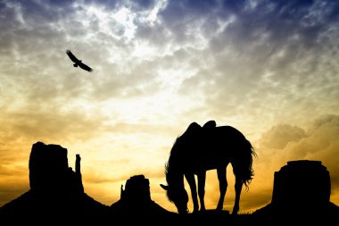 monument Valley at