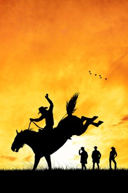 rodeo kovboy