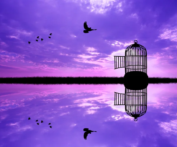Cage à oiseaux sur la rivière — Photo