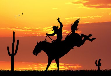 rodeo kovboy